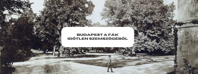 Black and white photo of a tree-lined square in Budapest