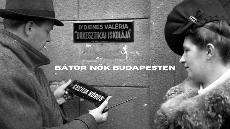 Archive photo of a street sign for Dr. Dienes Valéria's school